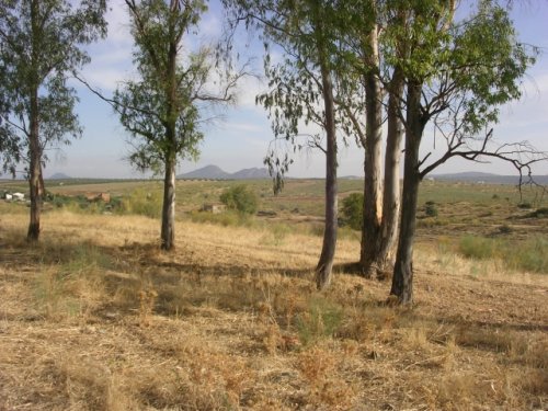 PARCELA/SOLAR EN VENTA EN ALANGE (PANTANO DE ALANGE)