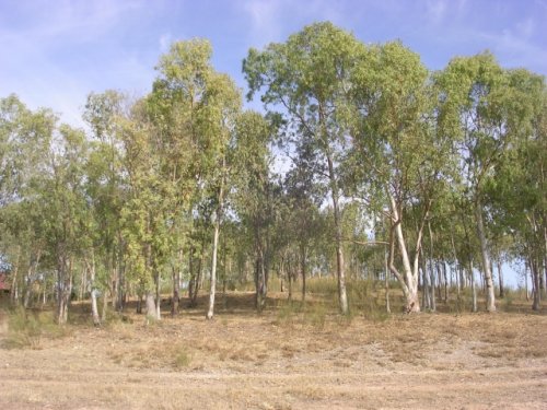 PARCELA/SOLAR EN VENTA EN ALANGE (PANTANO DE ALANGE)