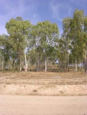 PARCELA/SOLAR EN VENTA EN ALANGE (PANTANO DE ALANGE)