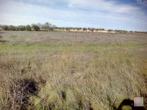 FINCA EN VENTA EN ALANGE (PANTANO DE ALANGE)