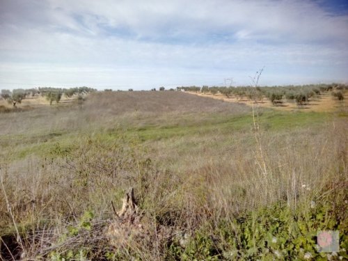 FINCA EN VENTA EN ALANGE (PANTANO DE ALANGE)