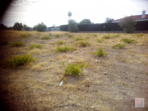 PARCELA/SOLAR EN VENTA EN ALMENDRALEJO (TIZA)