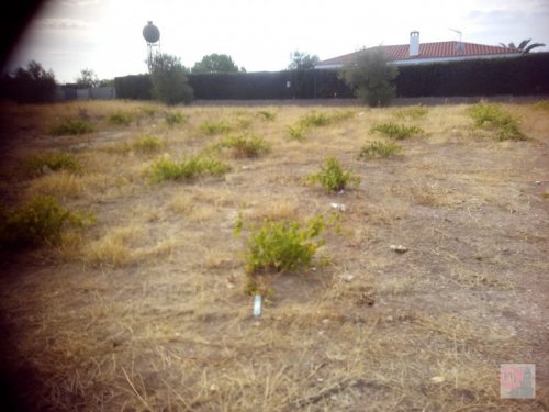 PARCELA/SOLAR EN VENTA EN ALMENDRALEJO (TIZA)