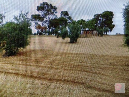 PARCELA/SOLAR EN VENTA EN ALMENDRALEJO (TIZA)