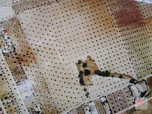 PARCELA/SOLAR EN VENTA EN ALMENDRALEJO (TIZA)