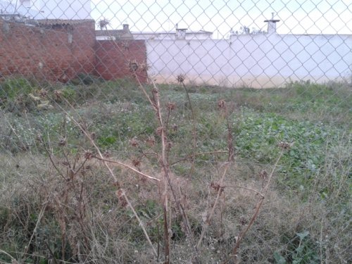 SOLAR COMERCIAL EN VENTA EN ALMENDRALEJO (POLIDERPORTIVO)
