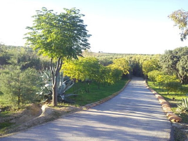 CHALET EN VENTA EN VILLALBA DE LOS BARROS (PANTANO VILLALBA DE LOS BARROS)