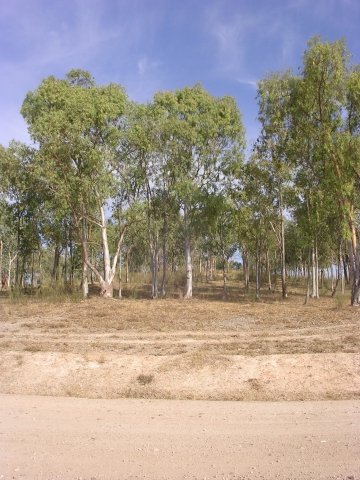 PARCELA/SOLAR EN VENTA EN ALANGE (PANTANO DE ALANGE)