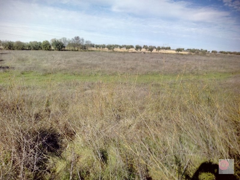 FINCA EN VENTA EN ALANGE (PANTANO DE ALANGE)