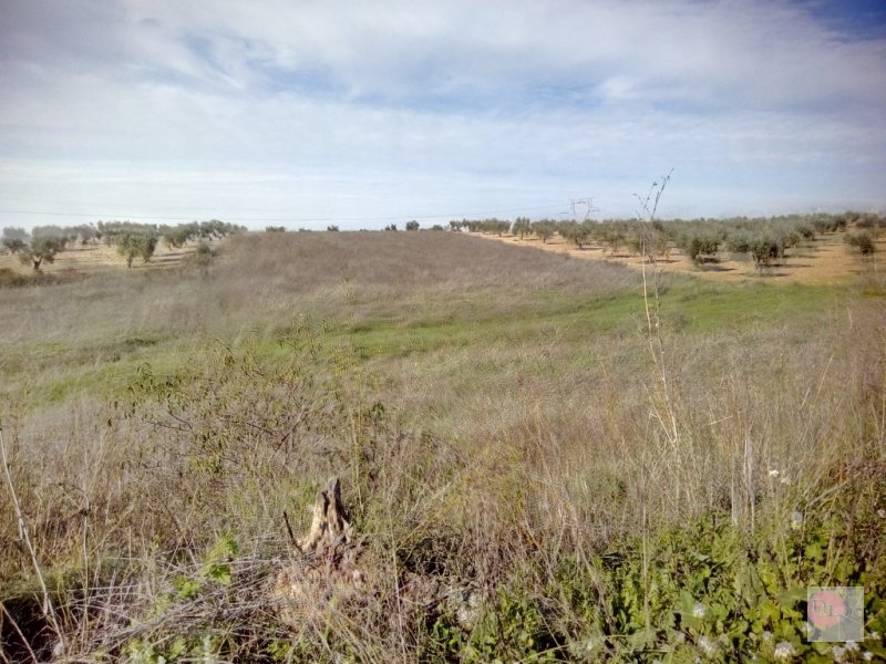 FINCA EN VENTA EN ALANGE (PANTANO DE ALANGE)