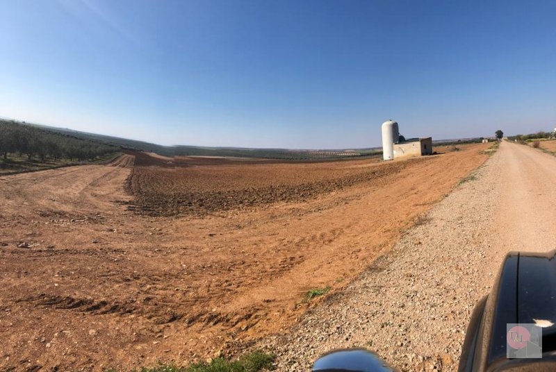 FINCA EN VENTA EN ALANGE (PANTANO DE ALANGE)