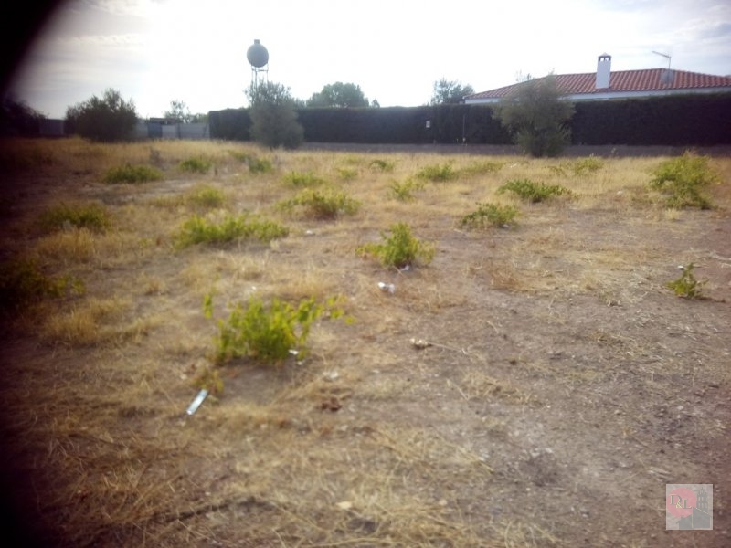 PARCELA/SOLAR EN VENTA EN ALMENDRALEJO (TIZA)