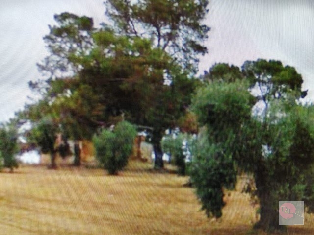 PARCELA/SOLAR EN VENTA EN ALMENDRALEJO (TIZA)